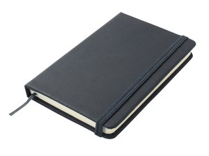 Päevik 823076